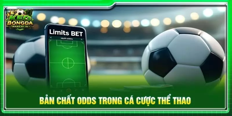 Bản chất odds trong cá cược thể thao
