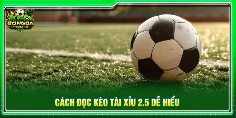 Cách đọc kèo tài xỉu 2.5 dễ hiểu