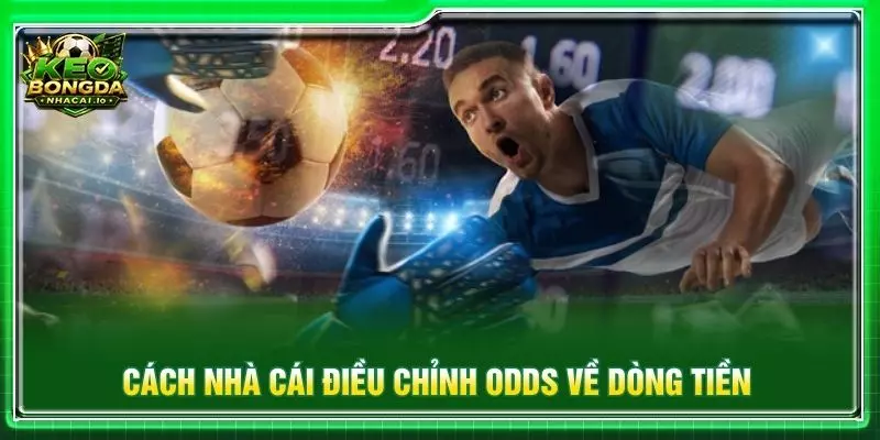 Cách nhà cái điều chỉnh odds về dòng tiền