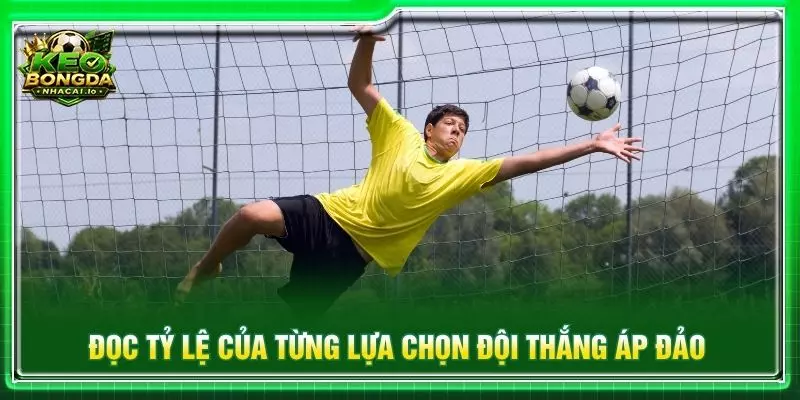 Đọc tỷ lệ của từng lựa chọn đội thắng áp đảo