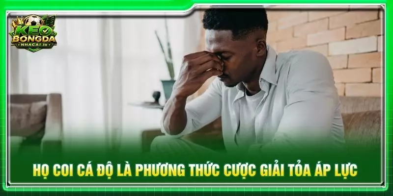 Họ coi cá độ là phương thức cược giải tỏa áp lực