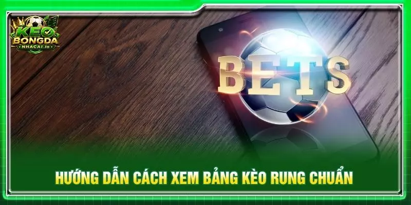 Hướng dẫn cách xem bảng kèo rung chuẩn