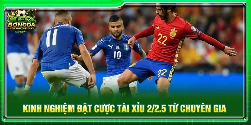 Kinh nghiệm đặt cược tài xỉu 2/2.5 từ chuyên gia