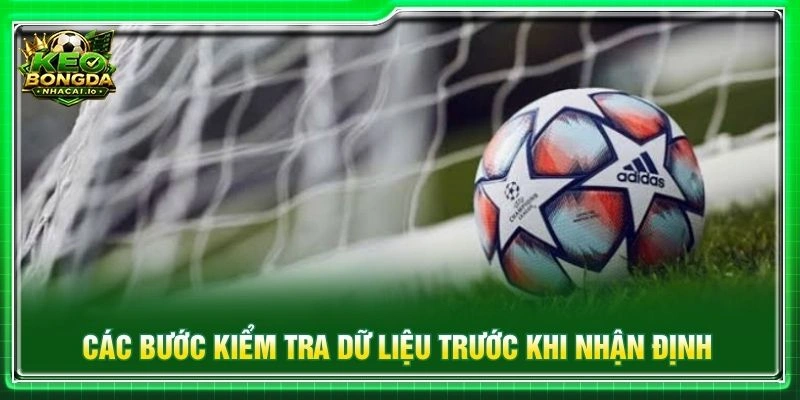 Các bước kiểm tra dữ liệu trước khi nhận định