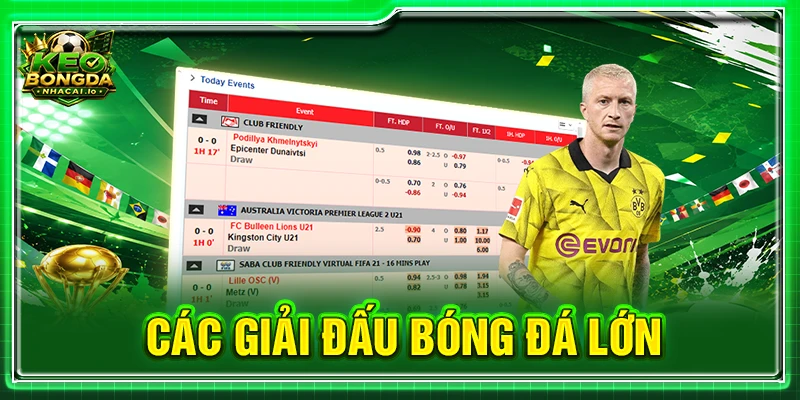 các giải đấu bóng đá lớn