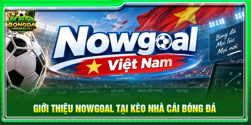 Cách theo dõi dữ liệu trận đấu trên Nowgoal Việt Nam.