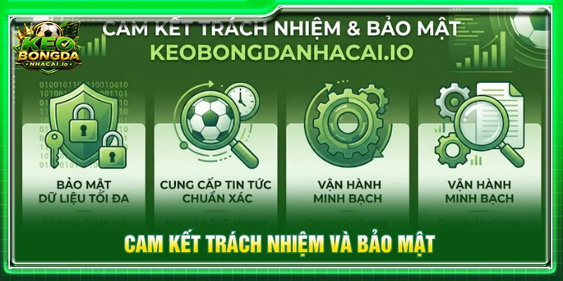 Cam kết của nền tảng dành cho người chơi và bảo mật
