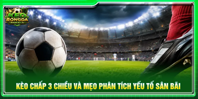 Cần phân tích kỹ yếu tố sân bãi để đánh giá mức tỷ lệ kèo