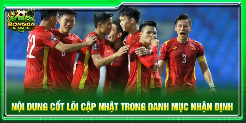 Cập nhật những nội dung trọng tâm trong danh mục Nhận định