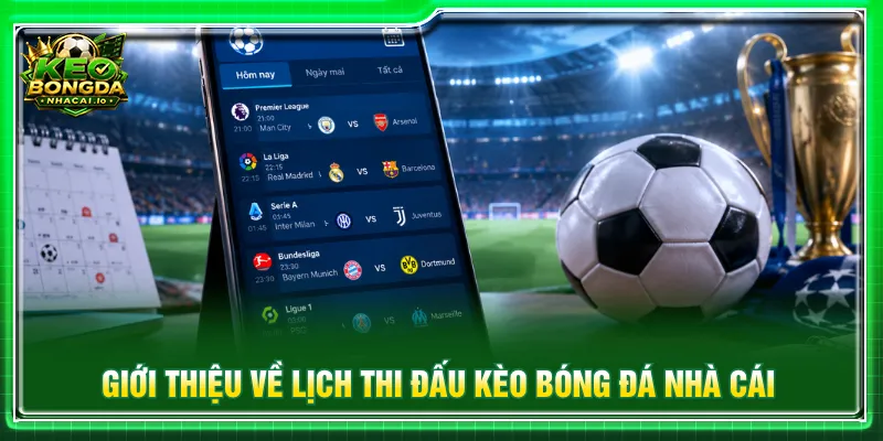 Danh mục lịch thi đấu cung cấp đầy các thông tin trận cầu