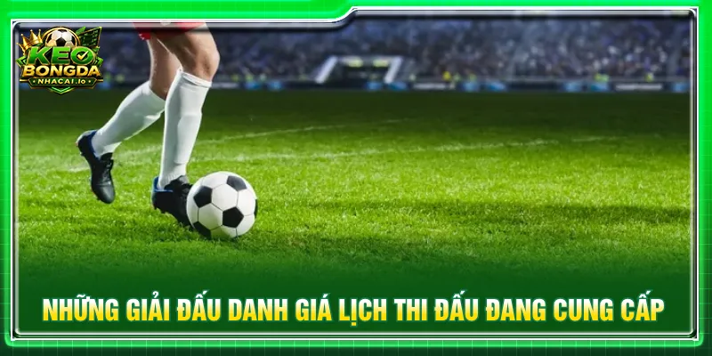 Đầy đủ các giải đấu đang được săn đón tại soi kèo nhà cái