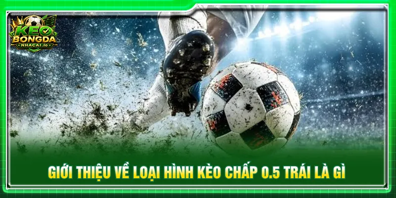 Kèo chấp 0.5 trái là gì phản ánh tương quan của hai đội