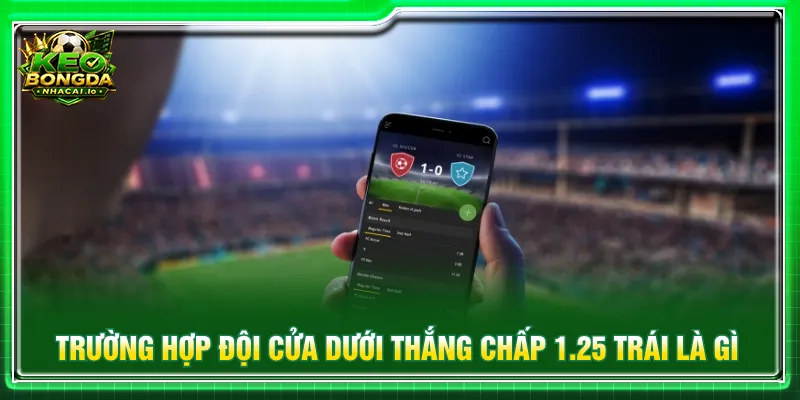 Kèo chấp 1.25 trái là gì khi đội cửa dưới thắng cuộc