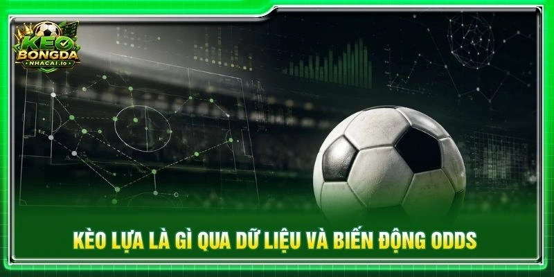 Kèo lựa là gì qua dữ liệu và biến động odds