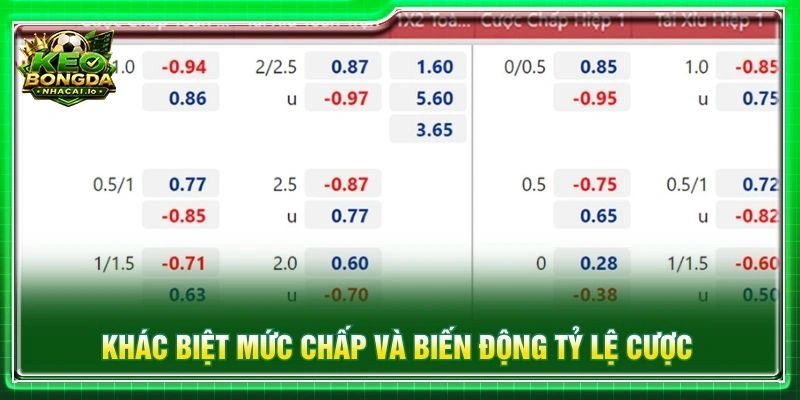 Khác biệt mức chấp và biến động tỷ lệ cược