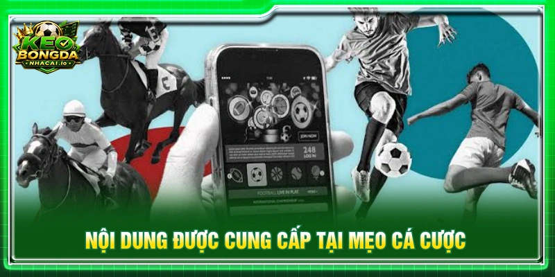 Mẹo cá cược tập hợp nhiều nội dung liên quan đến kinh nghiệm phân tích kèo