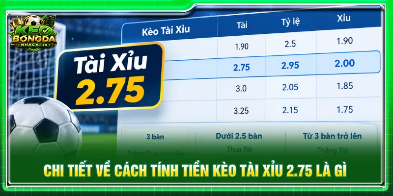 Mỗi trường hợp đặt cược quy định cách tính tiền chi tiết