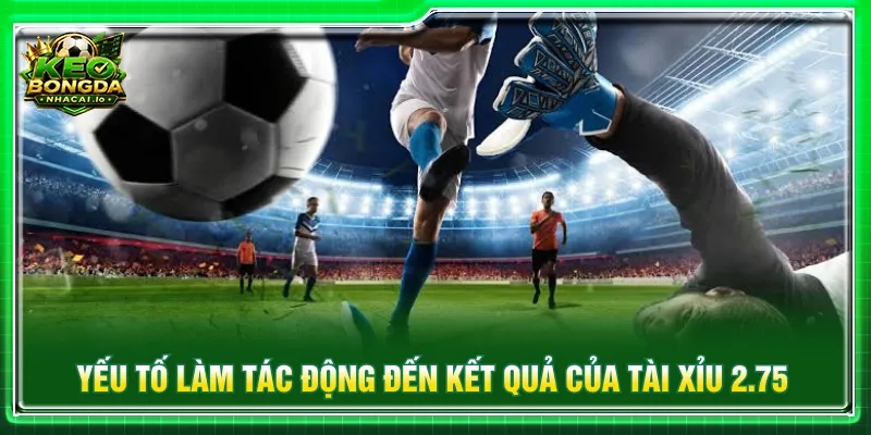 Nắm rõ những dữ liệu quan trọng vào kèo tài xỉu hợp lý