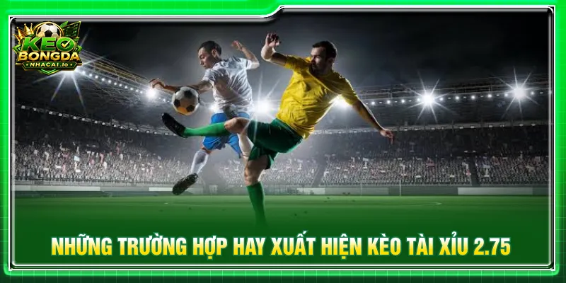 Người chơi cần đối chiếu các tỷ lệ cược tài xỉu 2.75 là gì