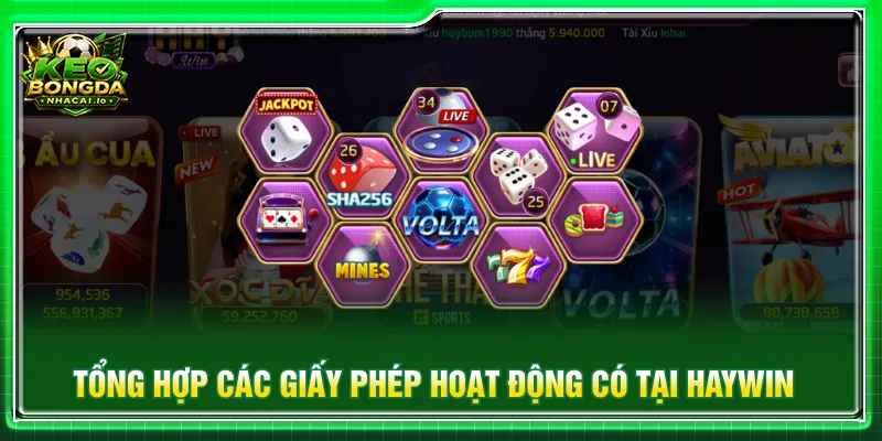 Người chơi cần tìm hiểu về chính sách pháp lý nền tảng
