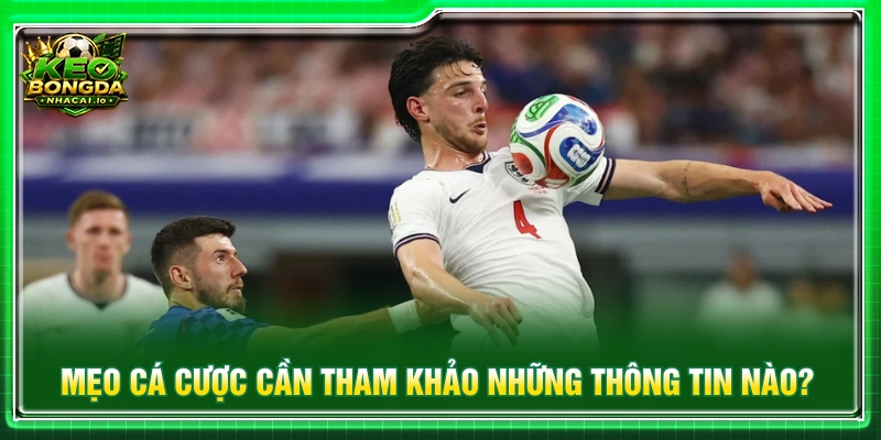 Người hâm mộ có thể tham khảo nhiều dữ liệu khi tìm hiểu mẹo cá cược