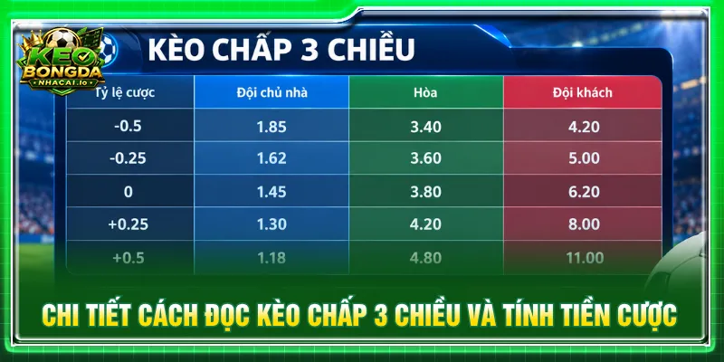 Người mới nắm rõ cách tính tiền và đọc bảng tỷ lệ cược