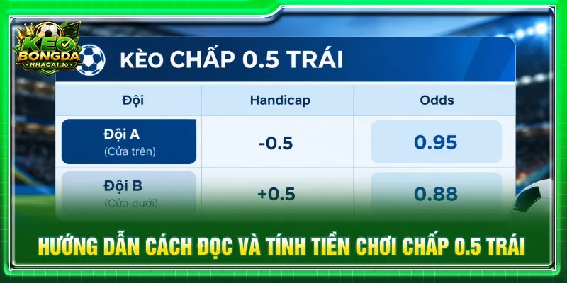 Người mới nắm rõ quy tắc đọc và tính tiền chấp 0.5 trái là gì