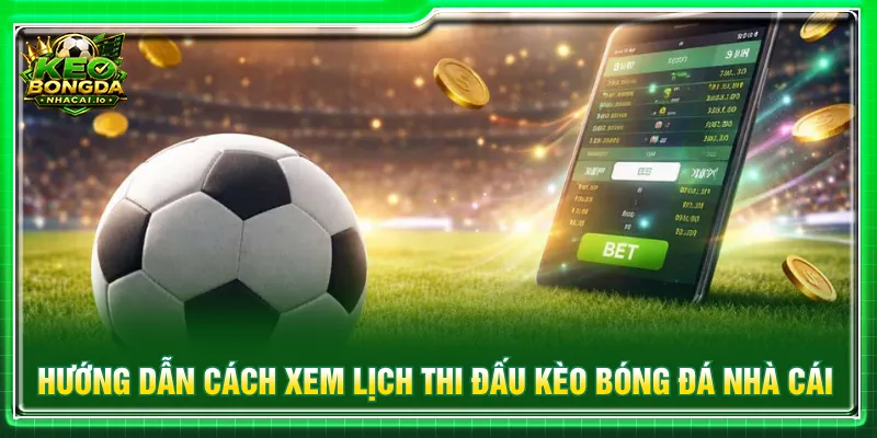 Người theo dõi thực hiện theo từng bước nắm rõ lịch thi đấu