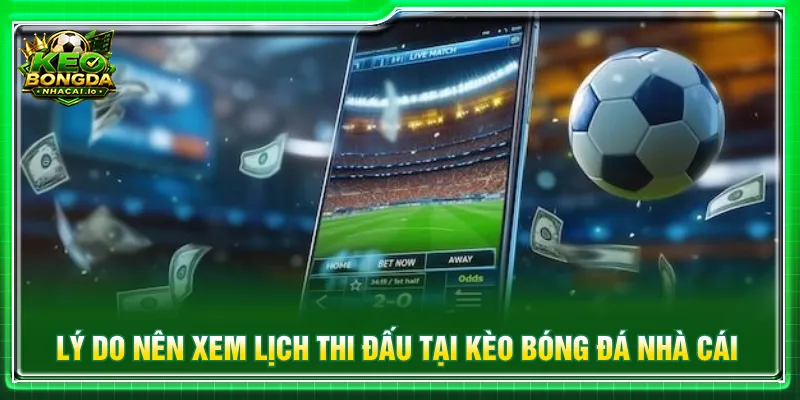 Người xem dễ dàng tìm trận đấu và nắm rõ tin tức mỗi ngày