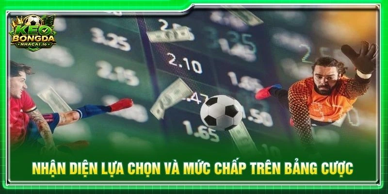 Nhận diện lựa chọn và mức chấp trên bảng cược
