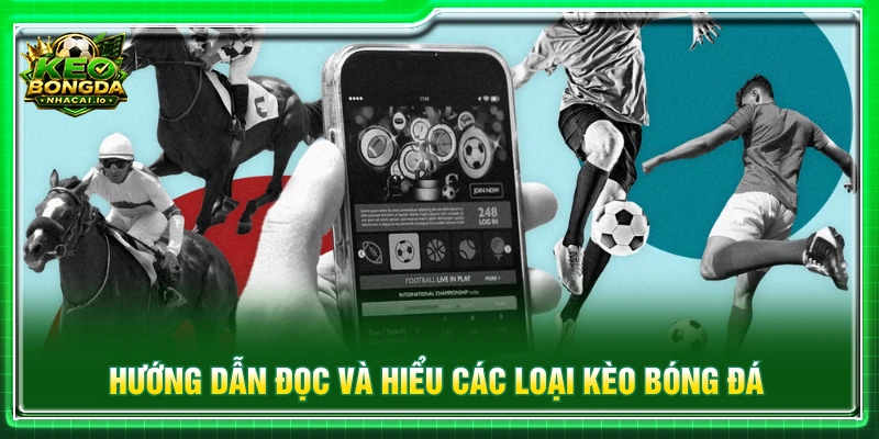 Nhóm thông tin này tập trung vào những dạng kèo phổ biến