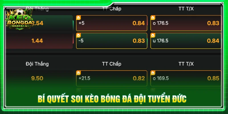 Những yếu tố cần theo dõi khi đánh giá màn trình diễn của tuyển Đức.