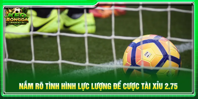 Quan sát tình hình hai đội bóng khi chơi tài xỉu 2.75 là gì