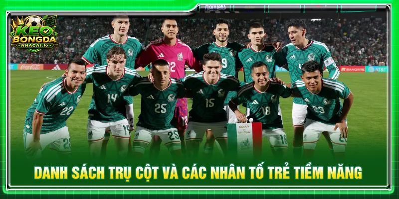 Sơ đồ chiến thuật và cách vận hành lối chơi đặc trưng của tuyển Mexico