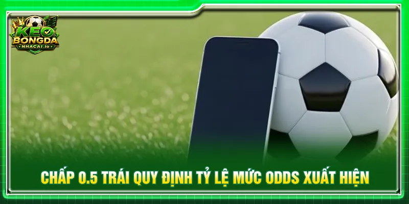 Số tiền thắng sẽ được vào ngân sách ban đầu và tỷ lệ odds