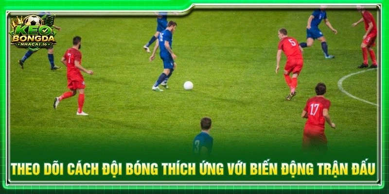 Theo dõi cách đội bóng thích ứng với biến động trận đấu