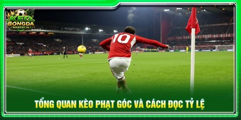 Tổng quan kèo phạt góc và cách đọc tỷ lệ