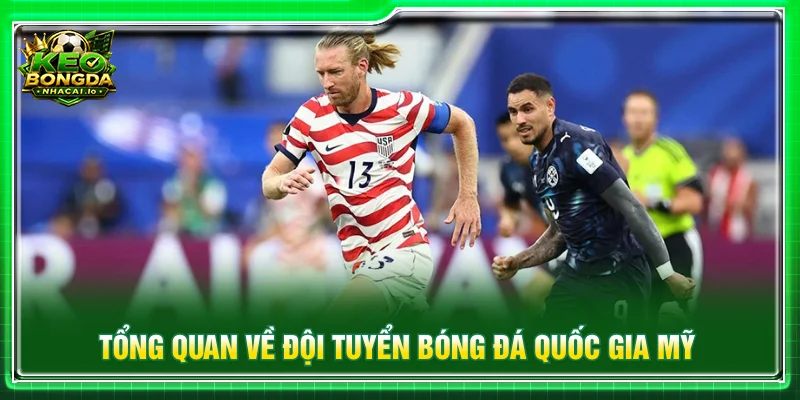 Tổng quan về lịch sử, lực lượng và hành trình phát triển của tuyển Mỹ