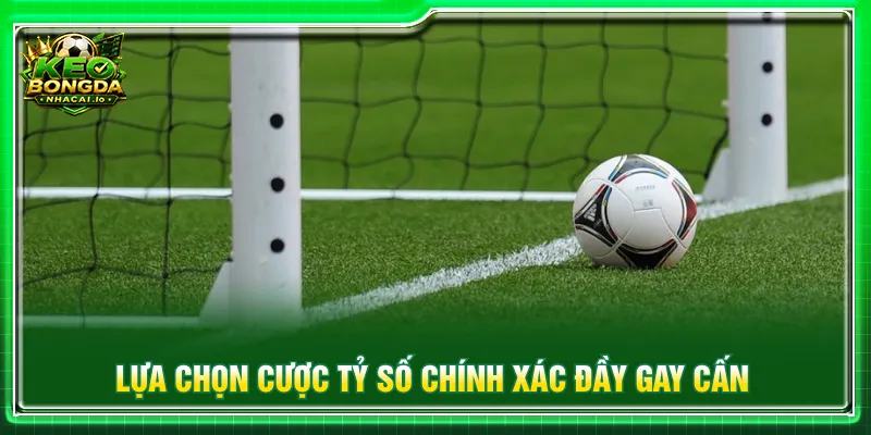 Trải nghiệm dự đoán kèo tỷ số chính xác đầy kịch tính