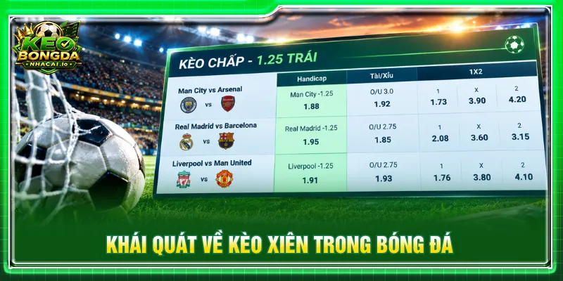 Trường hợp thắng 1 bàn trong chấp 1.25 trái là gì